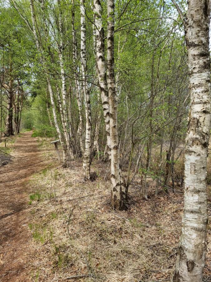 Ferienwohnung An Der Muehle Bad Zwischenahn Eksteriør bilde